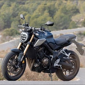 Meet your Posher, Zachary